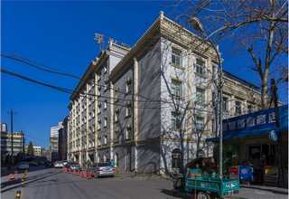 下城区绿化植物租赁报价