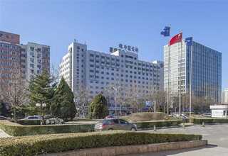 茂名岭南风庭院养护