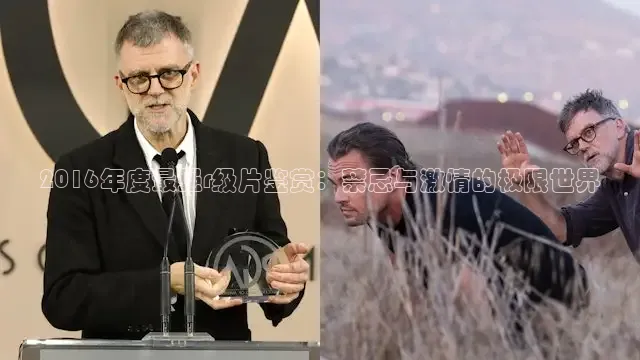 2016年度最强r级片鉴赏：禁忌与激情的极限世界